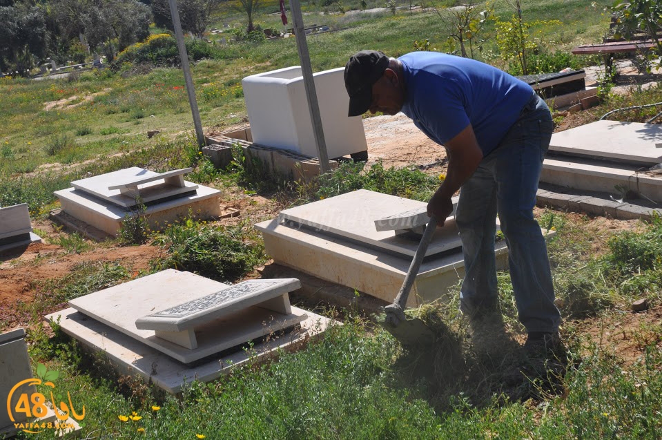 tasohamlalanjna (49).jpg